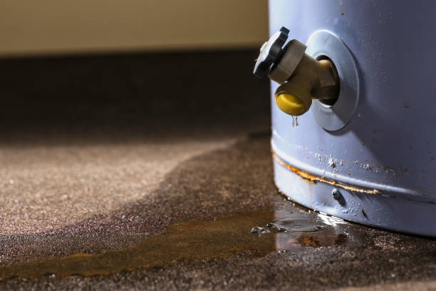 Best Flood restoration services  in Berryville, TX