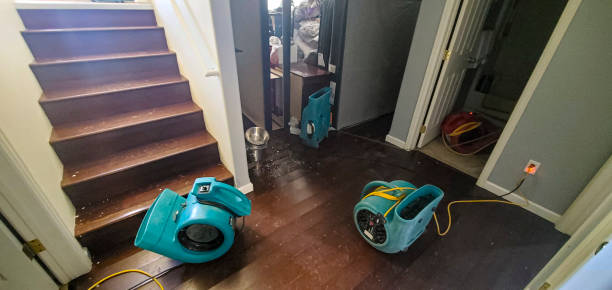 Best Carpet water damage restoration  in Berryville, TX