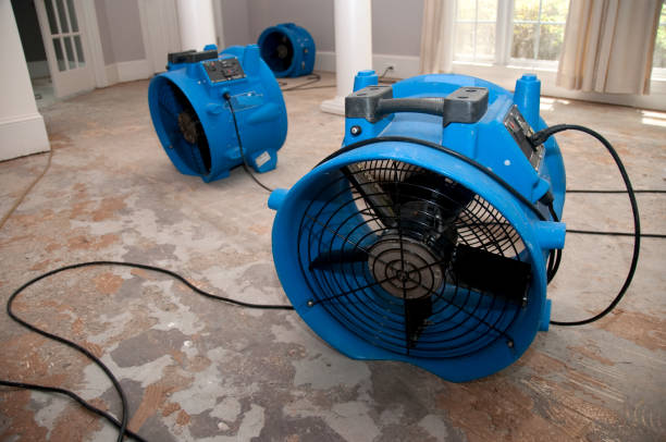 Best 24/7 water damage repair  in Berryville, TX