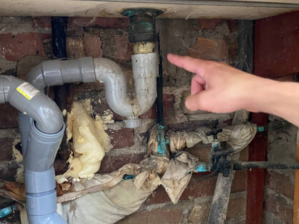 Best Fire Damage Restoration  in Berryville, TX