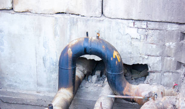 Best Ceiling water damage repair  in Berryville, TX
