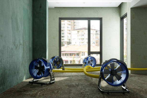  Berryville, TX Water damage restoration Pros